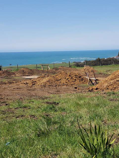 Coastal Vistas in Bodega Bay